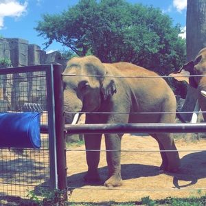 Meet your Posher, Alanna